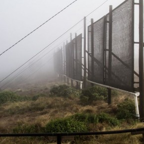 How Chile's fogcatchers are bringing water to the driest desert on Earth