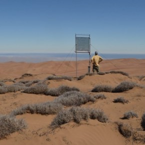 Las plantas que viven al límite de la aridez en el desierto de Atacama