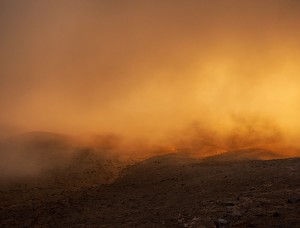 "Uno tiene la percepción que la neblina trae solo agua, pero en realidad viene cargada de muchos elementos, es como un fertilizante natural de los suelos del desierto gracias a que contiene elementos como nitrógeno y fósforo (...)", explica el investigador Fernando Alfaro. (Crédito fotográfico: Nicole Saffie)