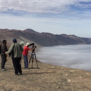 Filman documental sobre captación de agua de niebla en Estación UC Alto Patache