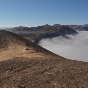 Viendo a través de las nubes - Científicos revelan enormes nuevas áreas de ecosistemas de niebla amenazados en Perú y Chile
